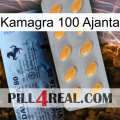 Kamagra 100 Ajanta 44